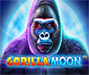 Gorilla Moon